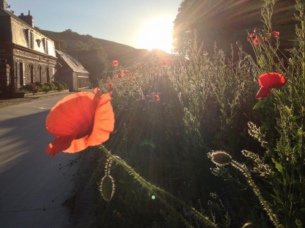 La Flore De Lys, Cottage Ideal Pour 2 Adultes Et 2 Enfants Saint-Jouin-Bruneval Ruang foto