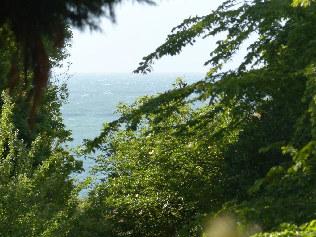 La Flore De Lys, Cottage Ideal Pour 2 Adultes Et 2 Enfants Saint-Jouin-Bruneval Ruang foto