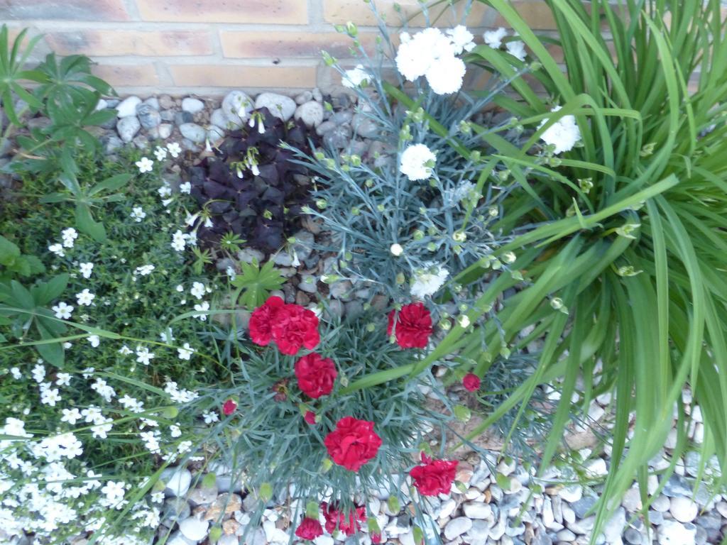 La Flore De Lys, Cottage Ideal Pour 2 Adultes Et 2 Enfants Saint-Jouin-Bruneval Ruang foto