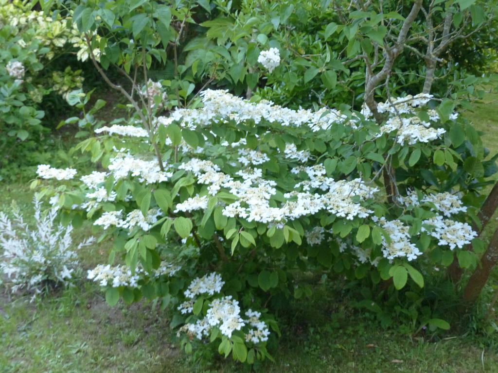 La Flore De Lys, Cottage Ideal Pour 2 Adultes Et 2 Enfants Saint-Jouin-Bruneval Ruang foto