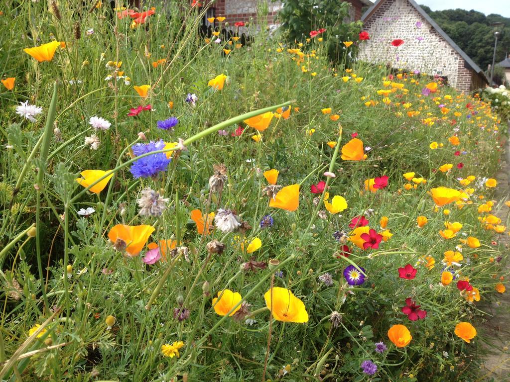 La Flore De Lys, Cottage Ideal Pour 2 Adultes Et 2 Enfants Saint-Jouin-Bruneval Bagian luar foto